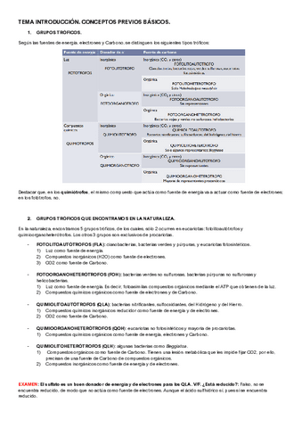 TEMARIO PRIMER PARCIAL MICROBIOLOGIA II Pdf