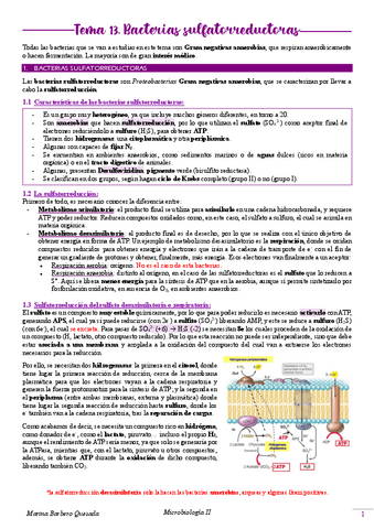 Tema Bacterias Sulfatorreductoras Pdf