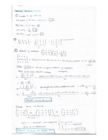 Repaso Todos Temas Pdf