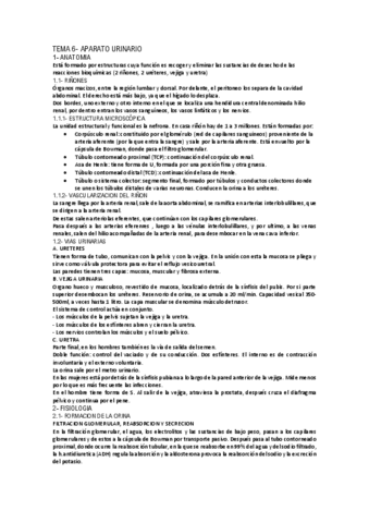 Sistema Urinario Pdf