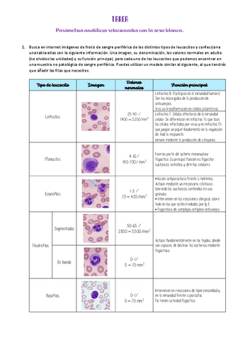 TAREA HEMA SERIE BLANCA Pdf