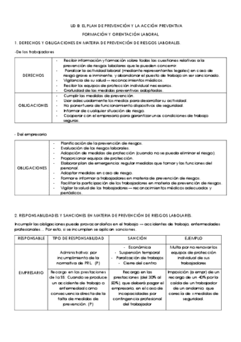 Ud El Plan De Prevencion Y La Accion Preventiva Pdf