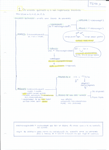 Tema Biologia Pdf