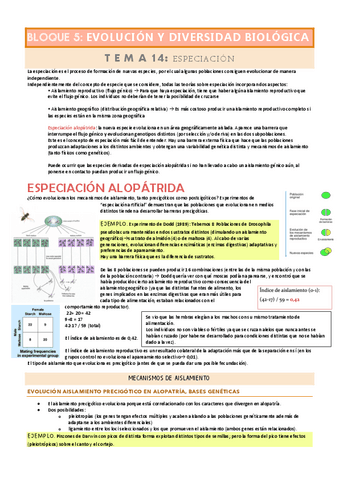 TEMA 14 ESPECIACION Pdf