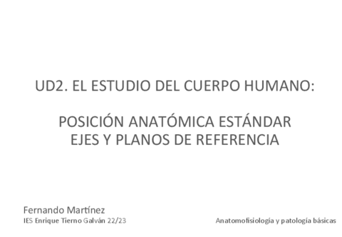 UD2 Posicion Anatomica Estandar Y Ejes Y Planos De Referencia Pdf