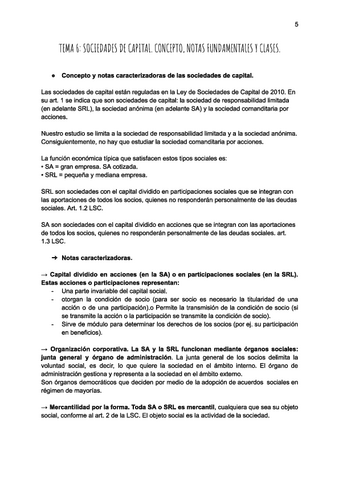 Tema 6 Derecho Mercantil Pdf