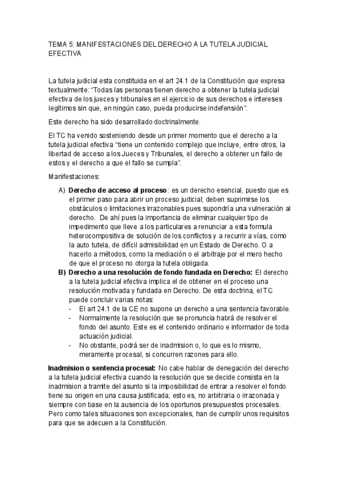 Tema Procesal Pdf