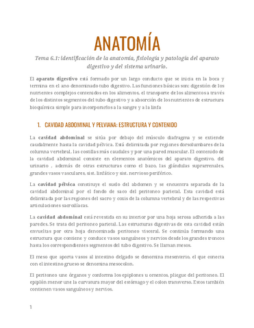 Anato T Pdf