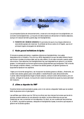 Tema Metabolismo De Lipidos Pdf