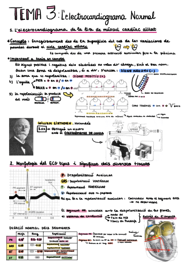 Electrocardiograma Normal T Pdf