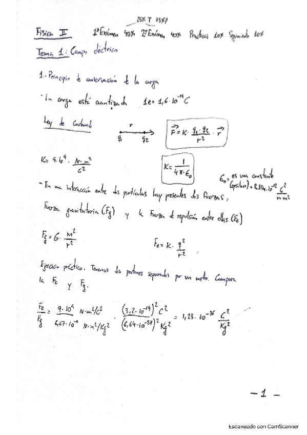 Fisica Ii Campo Electrico Pdf