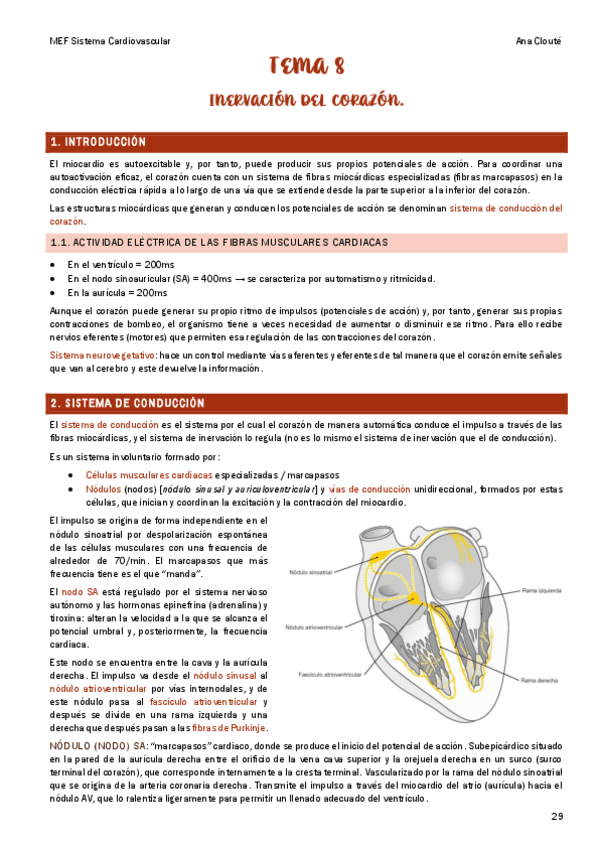 Tema Pdf