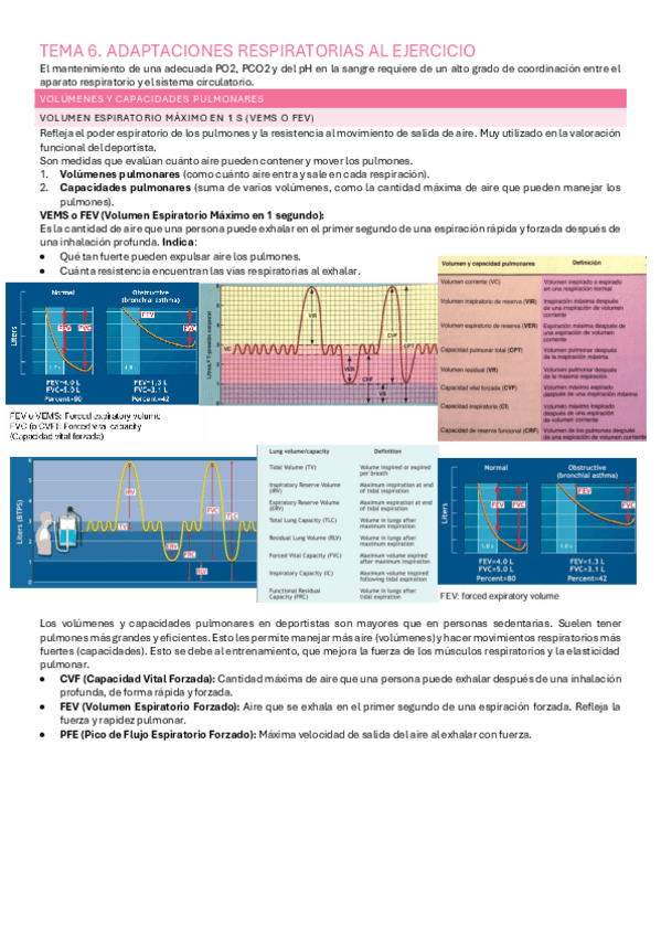 TEMA 6 RESPI Pdf