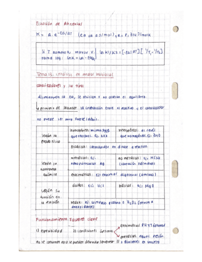 Tema Resumen Basico Pdf