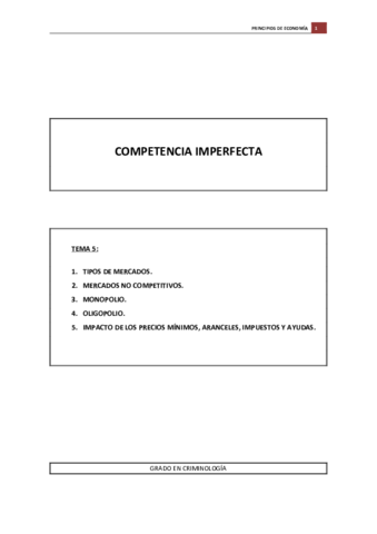 Tema Competencia Imperfecta Pdf