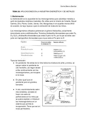 Biotecnolog A Microbiana Tema Energ A Y Metales Pdf