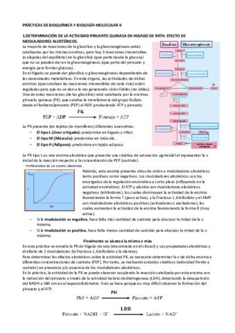 Prácticas Bioquímica II pdf