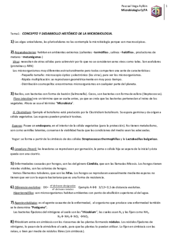 Todo El Temario Dado En Clase Pdf