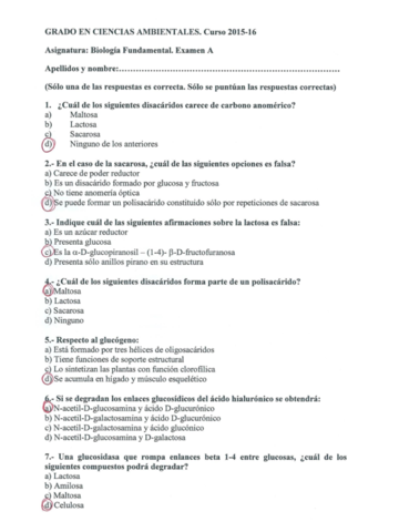 Respuestas Correctas Del Test Tema Pdf