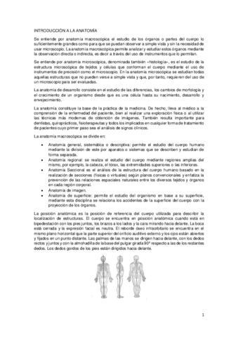 Cuaderno De Practicas Anatomia Pdf