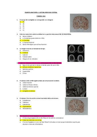 EXAMEN ANATOMIA II CORREGIDO Pdf