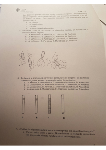 Examen Primer Parcial Pdf