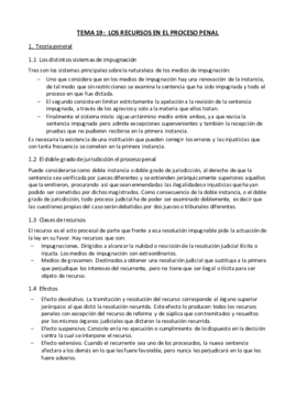 Tema Recursos En El Proceso Penal Pdf