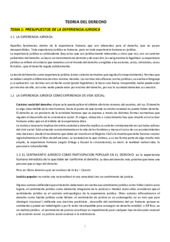 TEORIA DEL DERECHO Apuntes Pdf