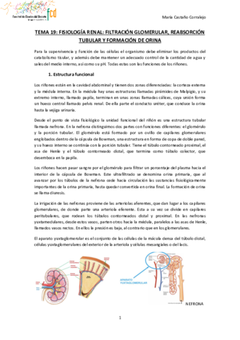 TEMA 19 FISIOLOGIA Pdf