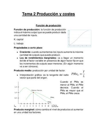 Tema Produccion Y Costes Pdf