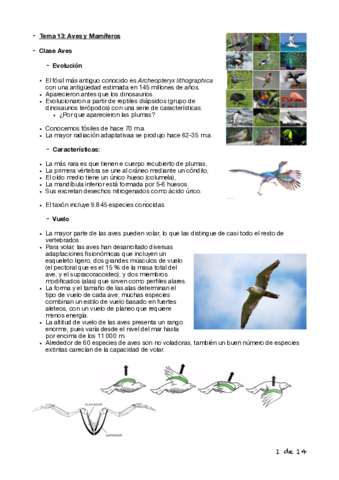 Tema Biologia Cyta O Pdf