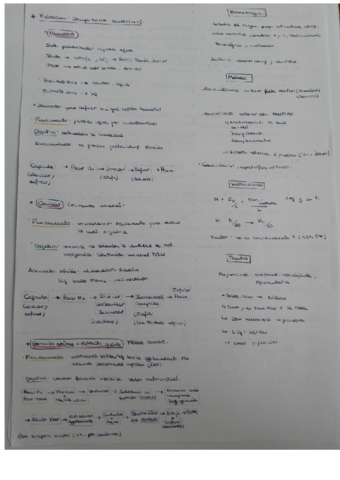 Resumen Prácticas Bromatología pdf