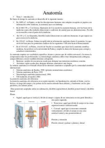 Primer Parcial Anatomia Pdf