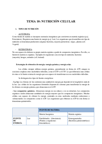 Tema Metabolismo Celular Pdf