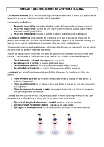 TEMA 1 Pdf