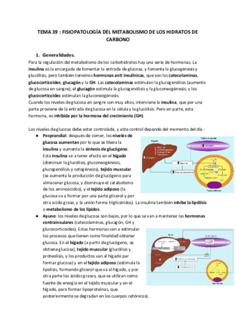 TEMA 39 FISIOPATOLOGIA DEL METABOISMO DE LOS HIDRATOS DE CARBONO Pdf