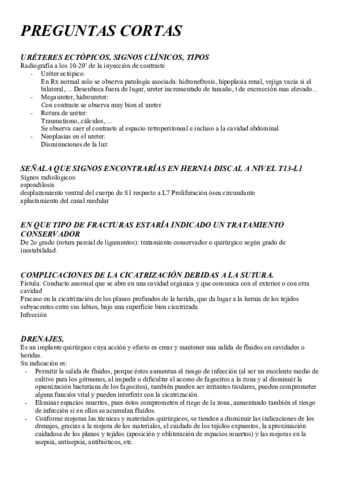 PREGUNTAS CORTAS Respondidas Pdf