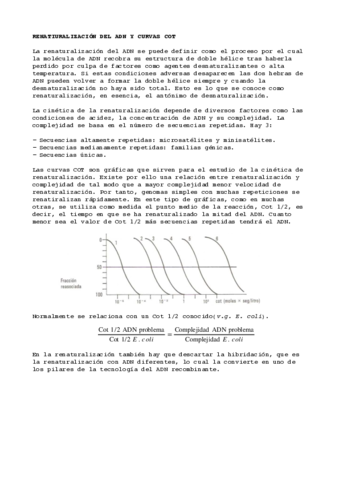 Preguntas Cortas Pdf