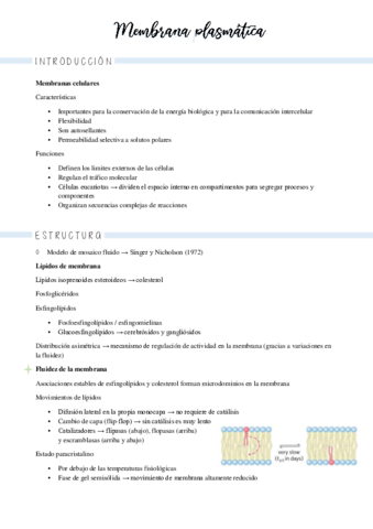 11 Estructura Y Funcion De Membrana Pdf