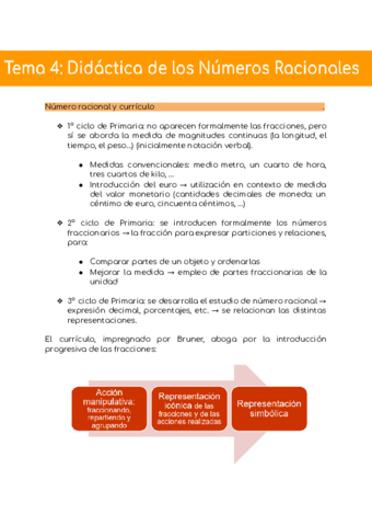 Tema 4 Didactica De Los Numeros Racionales Pdf