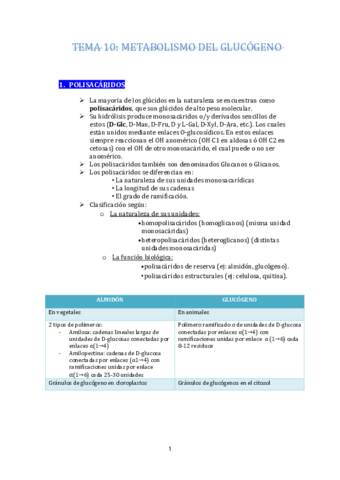 Tema 10 BIOQUIMICA COMPLETOS Pdf