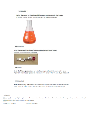 MODELO EXAMEN FINAL Pdf