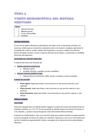 TEMA 5 NEURO Pdf