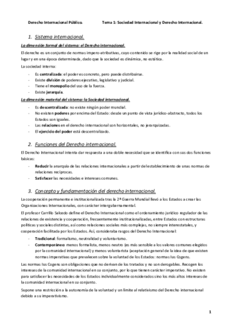 Derecho Internacional Publico Pdf