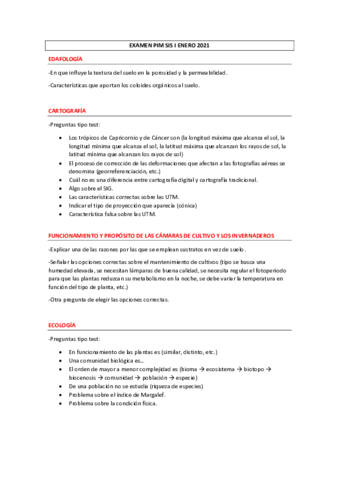 Examen Pim Sis I Enero Pdf