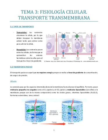 Tema Fisiologia Del Sistema Nervioso Sensorial Pdf