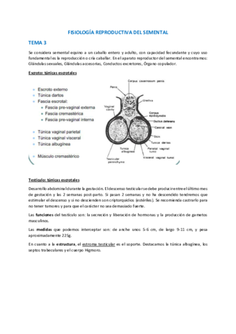 Apuntes De Tratamiento De Imagen Y Sonido