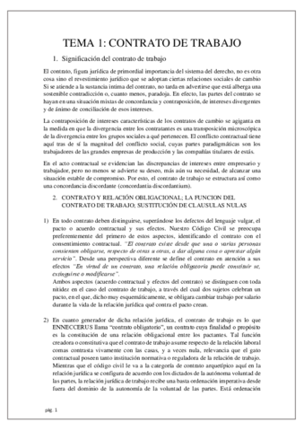 Tema 1 Derecho Del Trabajo Pdf