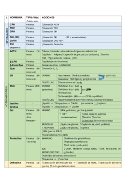 Tabla Resumen Hormonas Endocrino Pdf