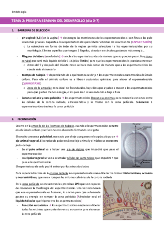 Tema Primera Semana Del Desarrollo Humano Pdf